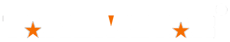 logo footer